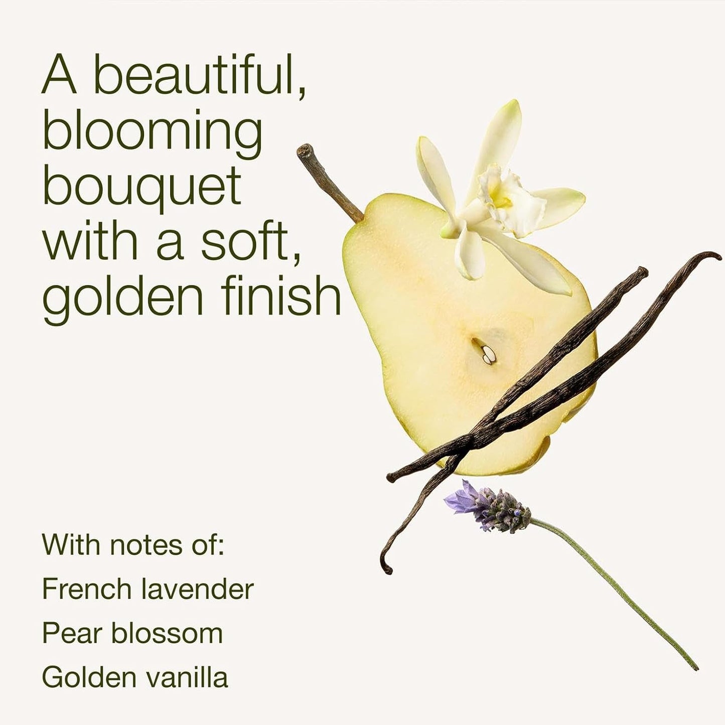 Gentle & Clean Foaming Hand Soap - Moonlit Goddess Scent, Non-Drying Formula | 8.75 fl oz
