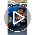 Cute Couple Kissing Car Dashboard Ornament - PVC Decoration