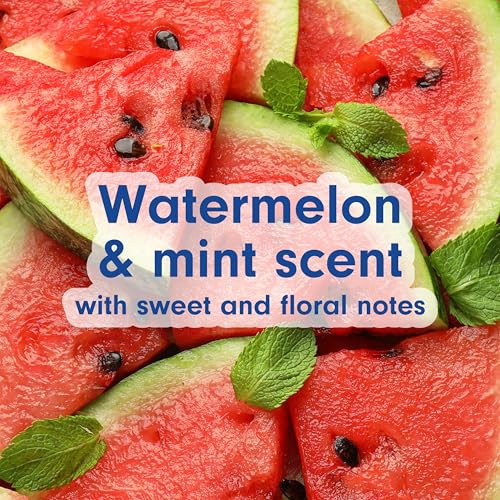 Softsoap Liquid Hand Soap Watermelon & Mint Scent 11.25 fl oz Pack of 6 - Hydrating & Bacteria-Fighting