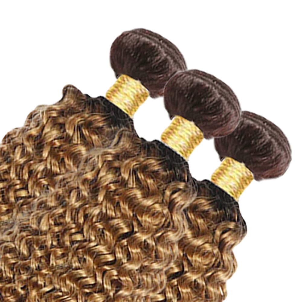 Ombre Human Hair Bundles T4/27 Kinky Curly Bundles Brazilian Virgin Hair 3 Bundles 22 24 26 Inch 2 Tone Brown and Honey Blonde