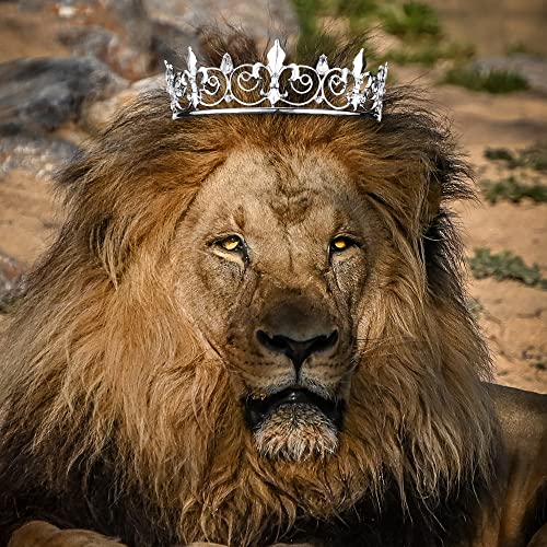AOPRIE Silver King & Queen Tiara and Crown Set - Crystal Hair Accessories for Weddings, Proms, and Parties