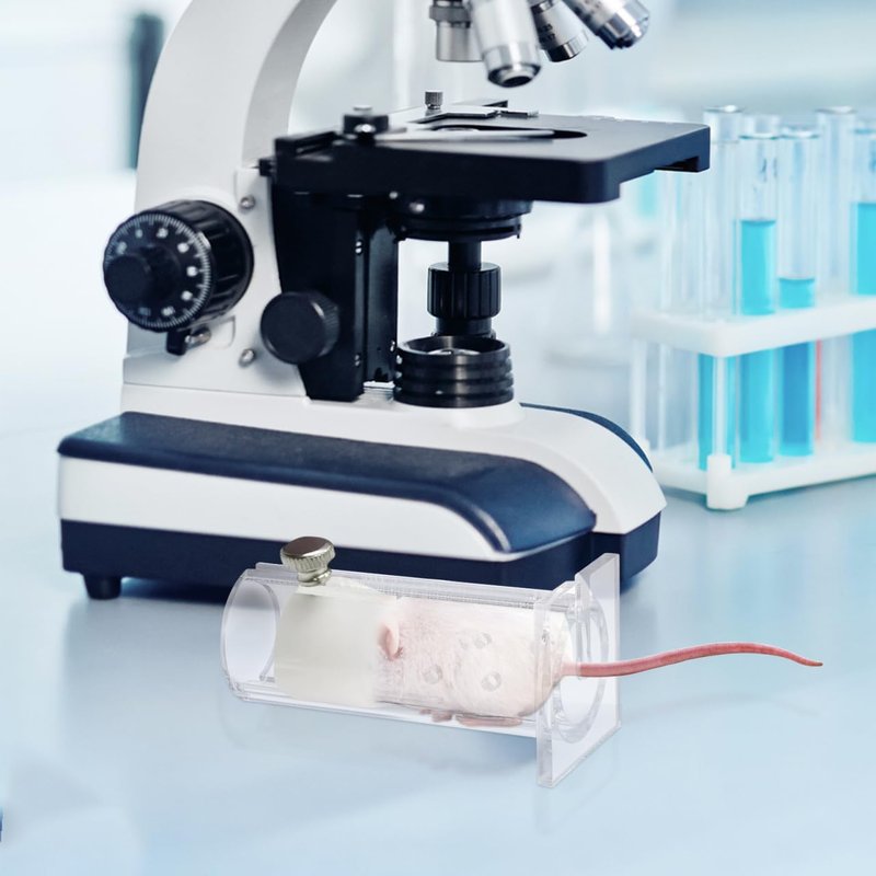 POPETPOP Mouse Restrainer for Research- Acrylic Transparent Laboratory Cages Restrainer for 15-35 Gram Mice (Random Screw Style)