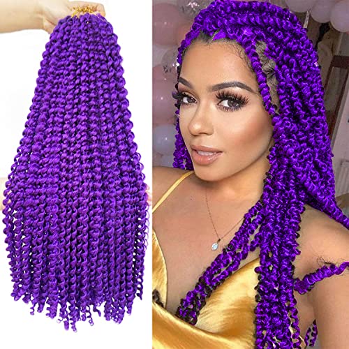 24 Inch Purple Passion Twist Hair - 2 Packs Water Wave Crochet Extensions