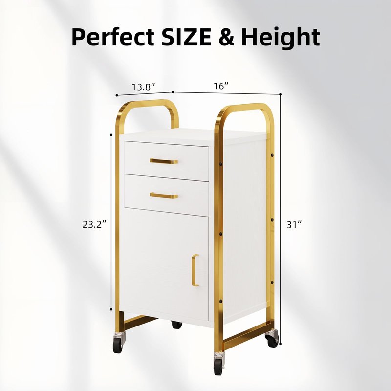 4ever2buy Salon Station for Hair Stylist, Rolling Salon Trolley Cart with Wheels, Beauty Barber Station with 2 Drawer & Cabinet, Mobile Storage Cabinet for Barbershop, Spa&Tattoo, White and Gold