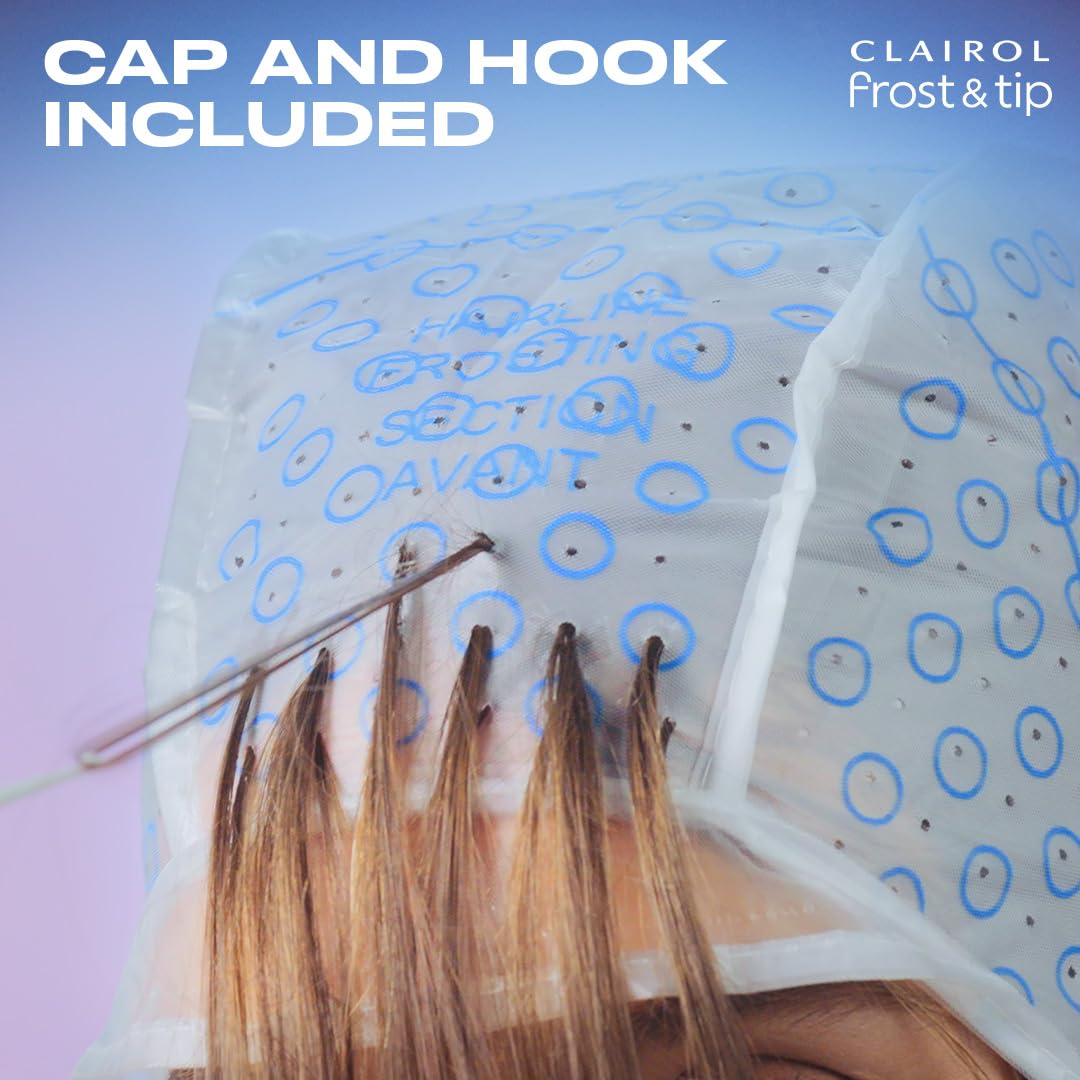 Clairol Nice'n Easy Hair Dye - Light Blonde to Medium Brown Color | Frost & Tip, 1 Pack