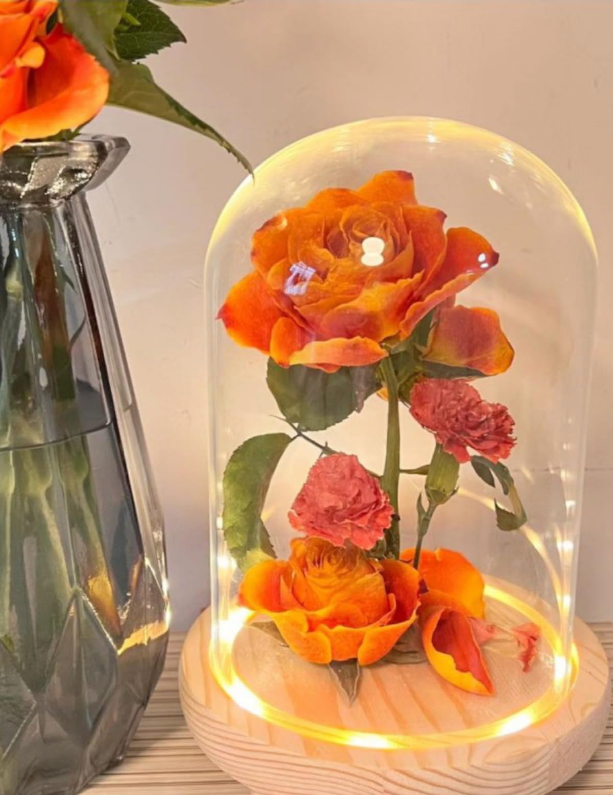 Nynelly 3.54" D X 4.33" H Clear Glass Dome Cloche with Natural Wood LED Lights Base, Display Bell Jar Ornament，Countertop Bell Jar Display Dome Clear Glass Display Case Deco