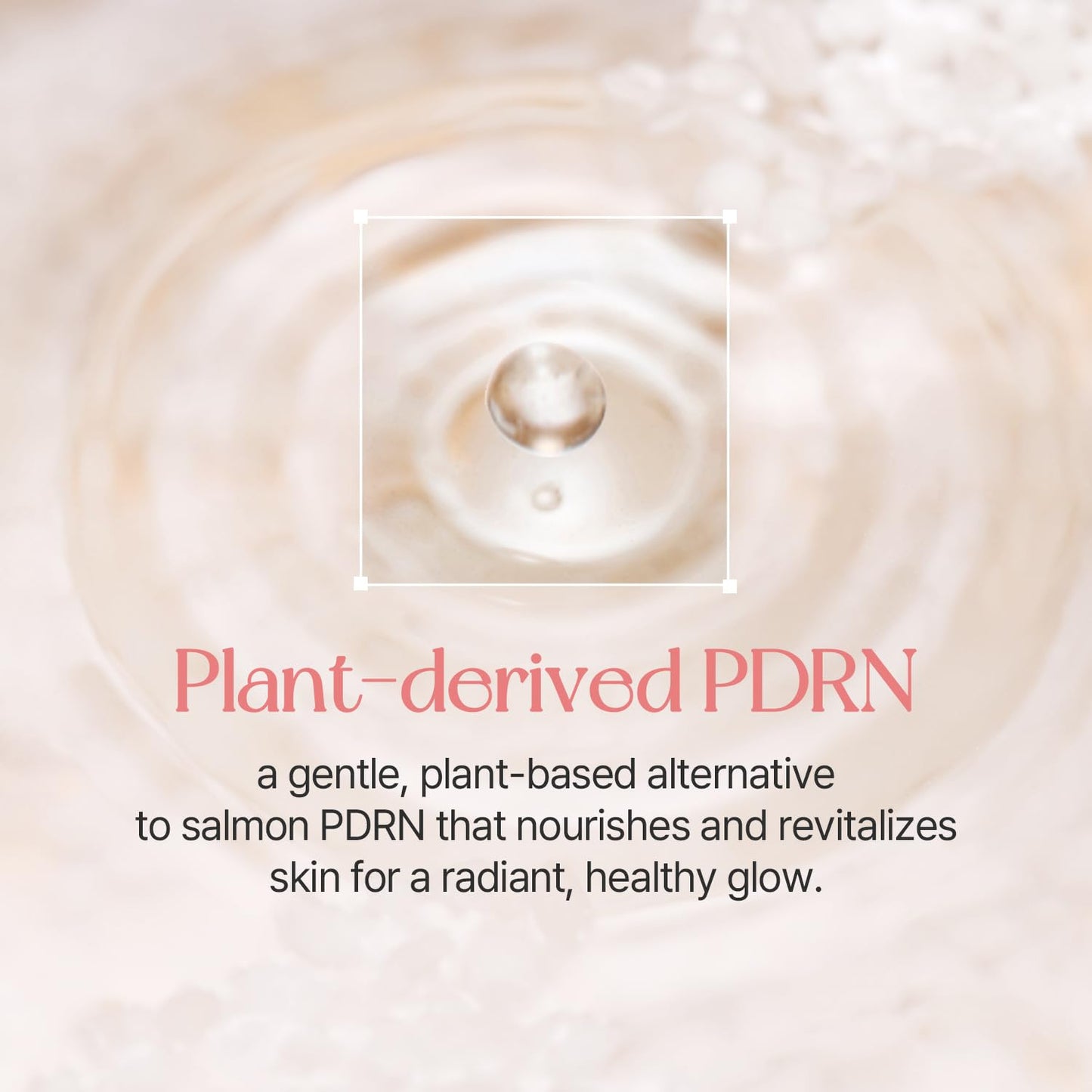 mixsoon PDRN Collagen Tinted Moisturizer - Skincare-Infused Base with Rice PDRN & Peptides, 24H Vibrant Glow & Luminous Hydration, 10 Shades 50ml / 1.69 fl.oz. Korean Glass Skin (No. Calm 45)