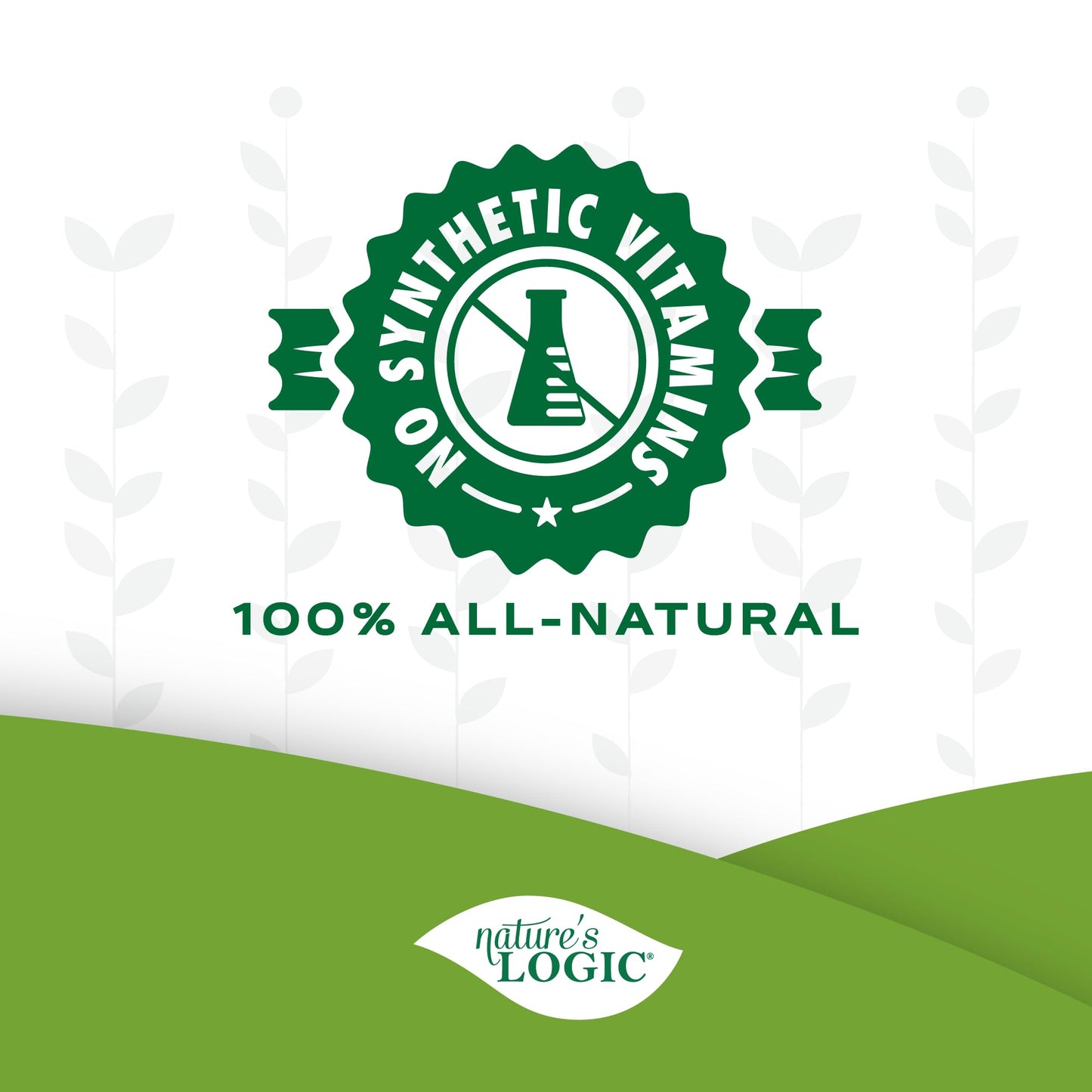 Nature's Logic Dehydrated Bone Broth Powder - 100% Natural Dog & Cat Topper - Rich in Glucosamine & Chondroitin - Boosts Immune System - Gluten-Free, No Synthetic Ingredients - Turkey, 6oz