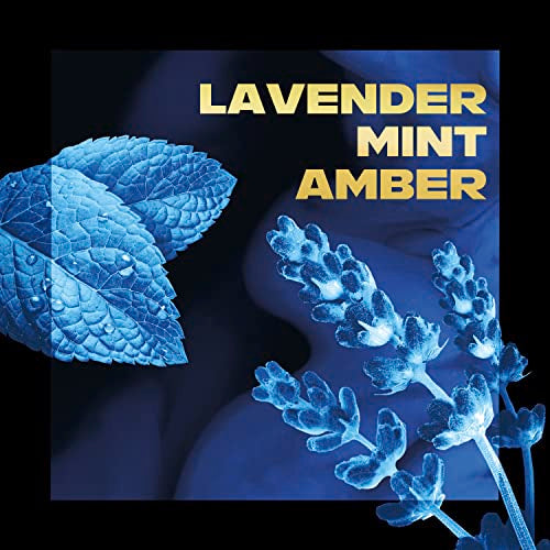 AXE Blue Lavender Deodorant Stick 2.6 oz (Pack of 4) - 48H Freshness