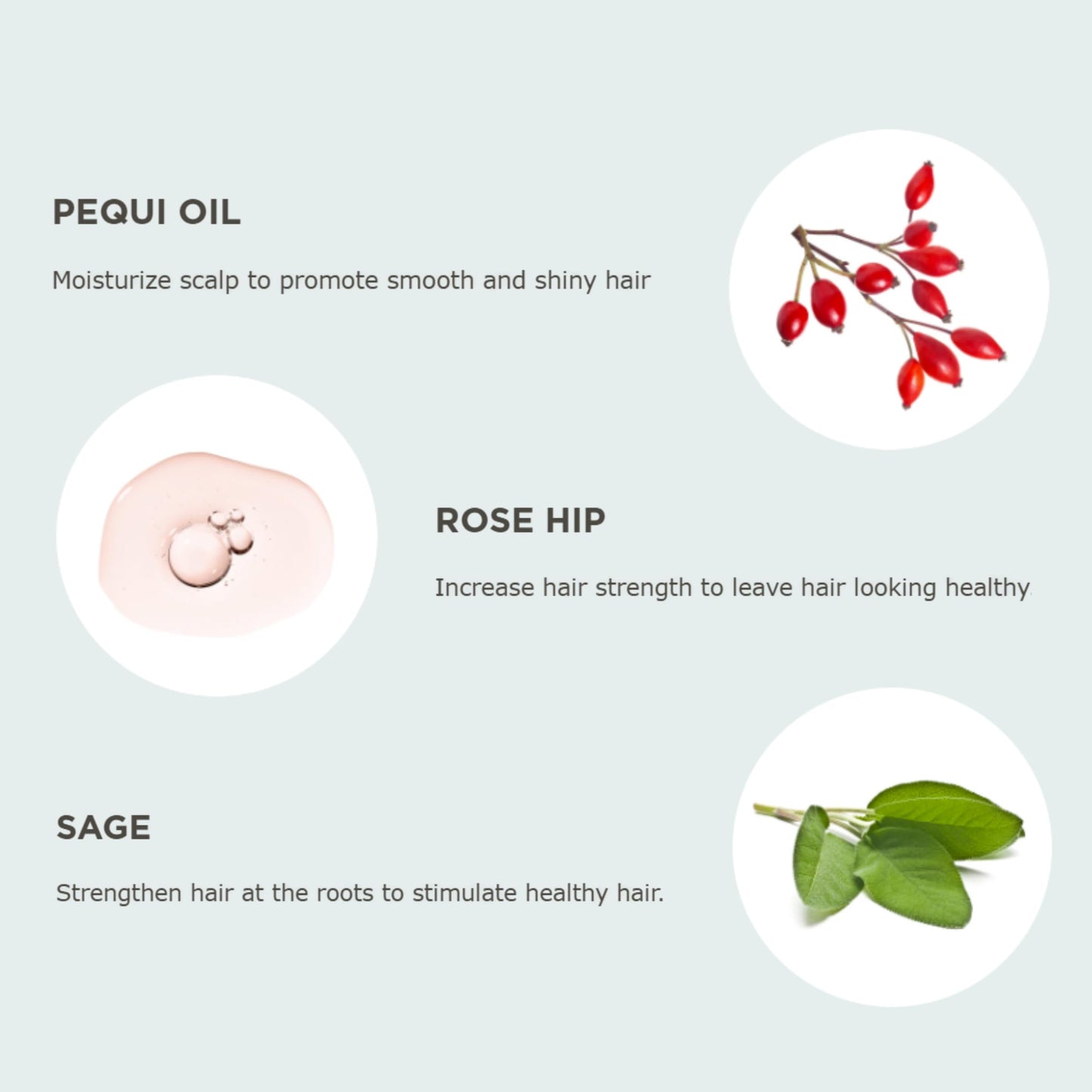 Hairitage Volumizing Hair Mousse for Texturizing Fine Hair, Root Lift & Frizz Control Styling, Pequi Oil, Rose Hip & Sage, Lightweight, Sulfate & Paraben Free, Vegan, 7 oz