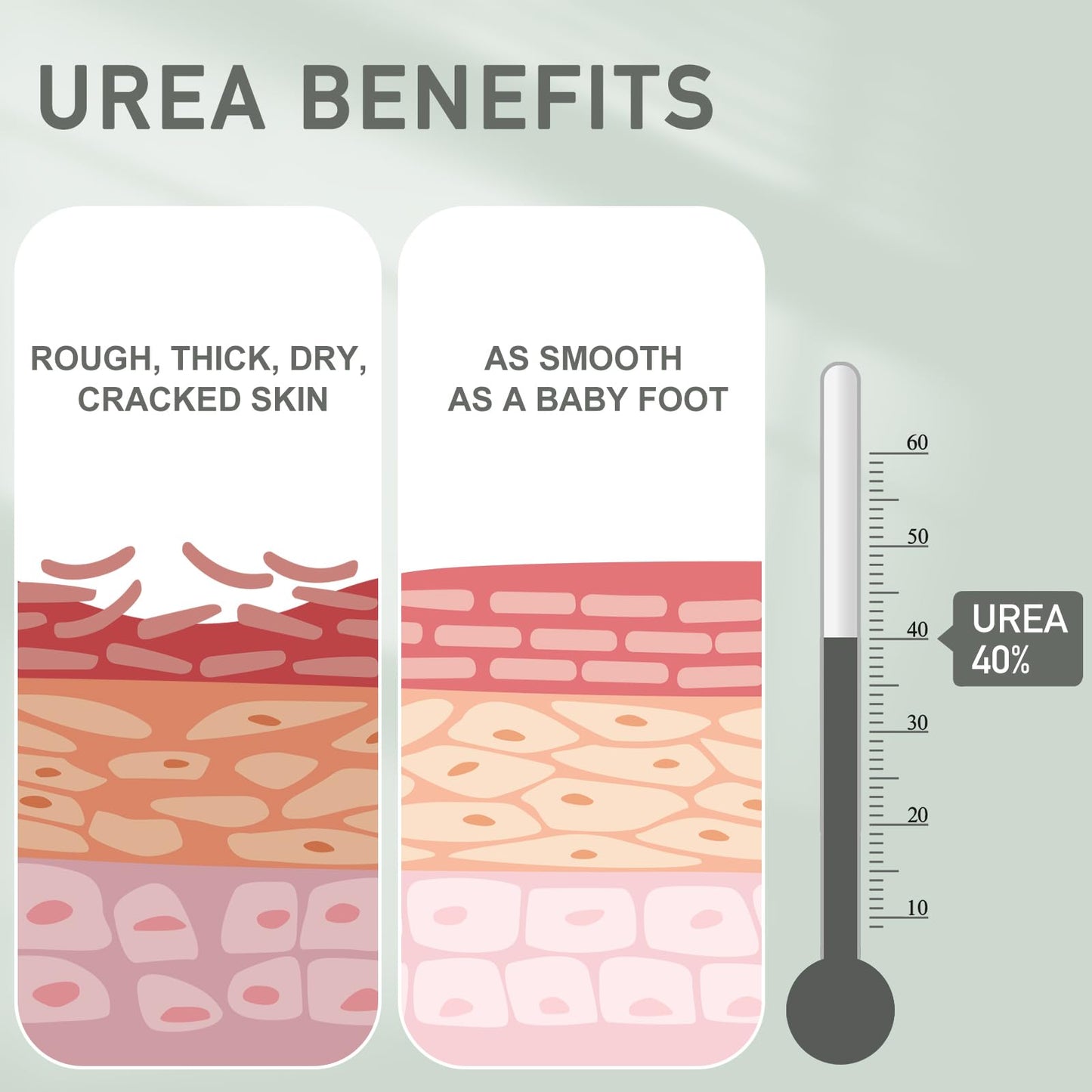 Mouriven Urea Cream 40 Percent - Foot & Hand Cream for Dry, Cracked Heels, Feet, Knees, Elbows, and Hands - Maximum Strength Urea Lotion for Softening and Moisturizing