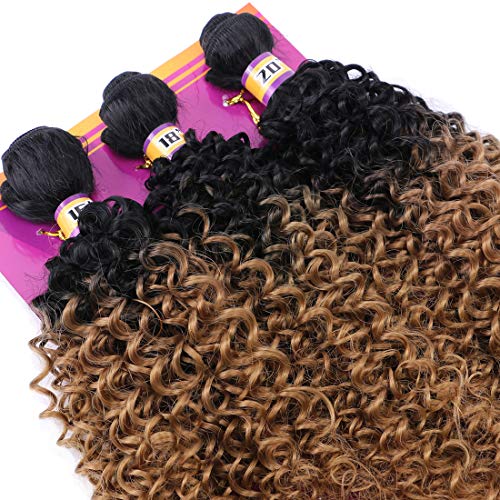 REYNA Golden Ombre Afro Kinky Curly Hair Bundles - 3 Piece Set (16/18/20 Inches)
