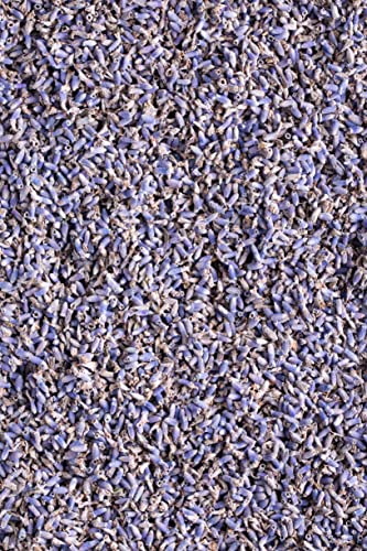 Organic Lavender Tea - 100% Raw Albanian Harvest, 4oz