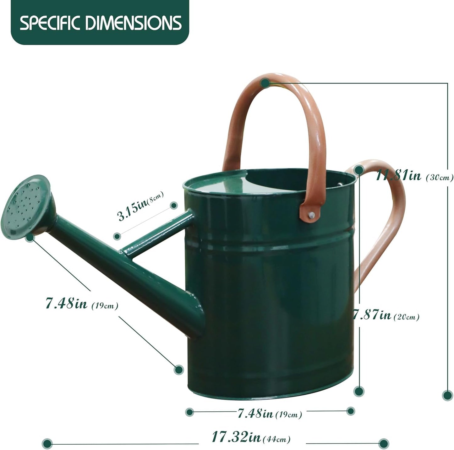 yourjoy Metal Watering Can with Removable Spout, 1 Gallon Watering Cans Stainless Steel Handhold for Outdoor Indoor Garden Plants Watering (Green)