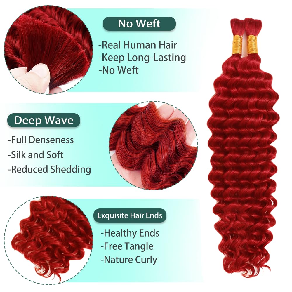 Red Boho Human Hair Deep Wave Bulk Red Human Hair for Braiding 16 16 Inch No Weft Brazilian Burgundy Deep Wave Bulk Braids Extensions