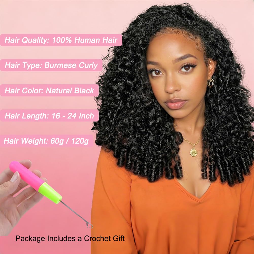Burmese Curly Feather Crochet Hair Extensions - 16 Inch, Lightweight, Knotless, Natural Color for Black Women