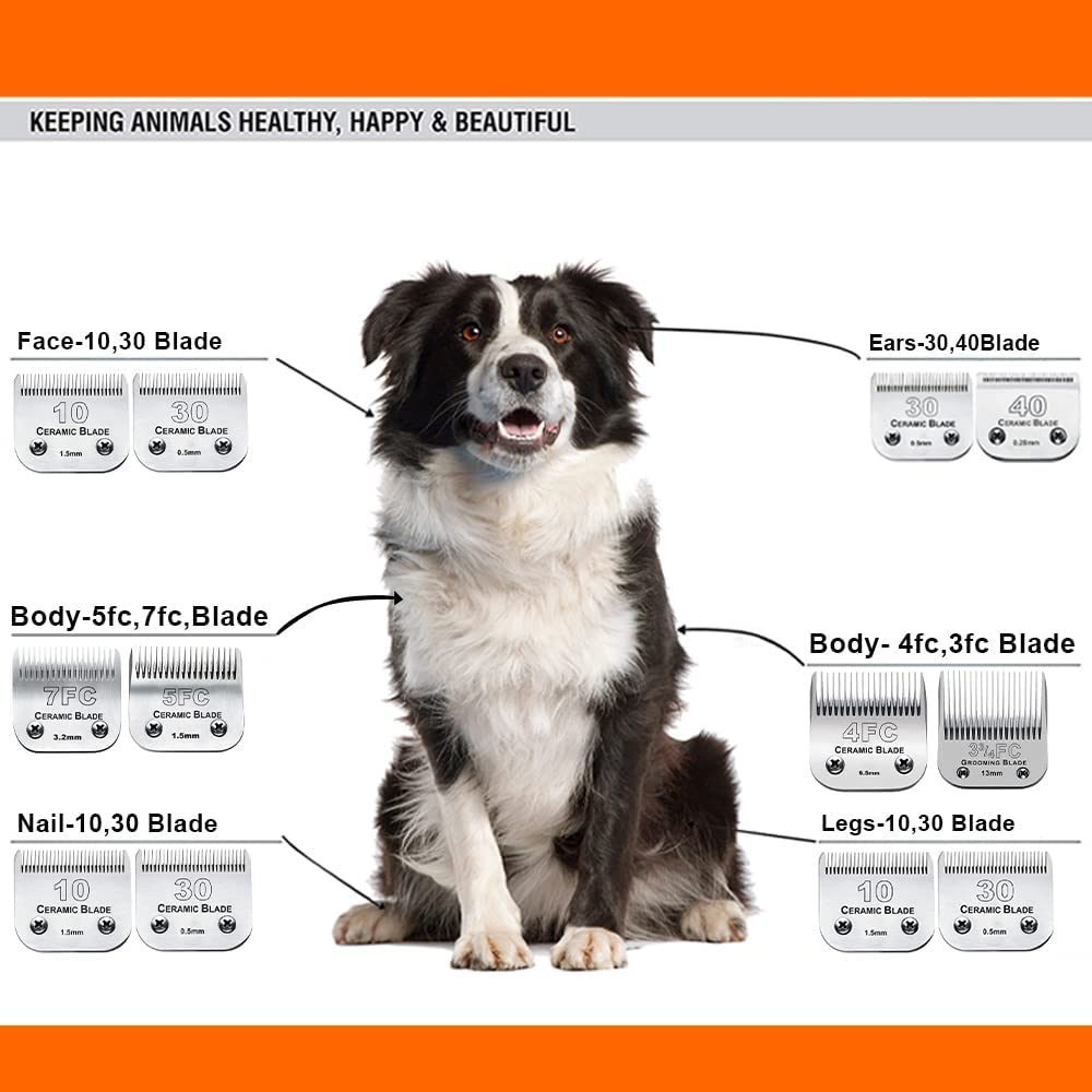 6Pack 10Blades Dog Grooming Replacement Blades Compatible with Andis Pet Clipper/Oster A5/Wahl KM Series Dog Clipper,Ceramic Blade & Stainless Steel Blade (#10+30+5FC+7FC+3FC+4F)