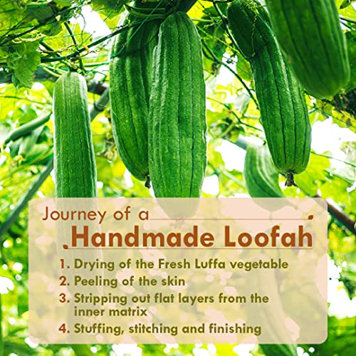 Nat Habit Natural Sun Dried Bath Loofah - Exfoliating Body Sponge (2 Pack)