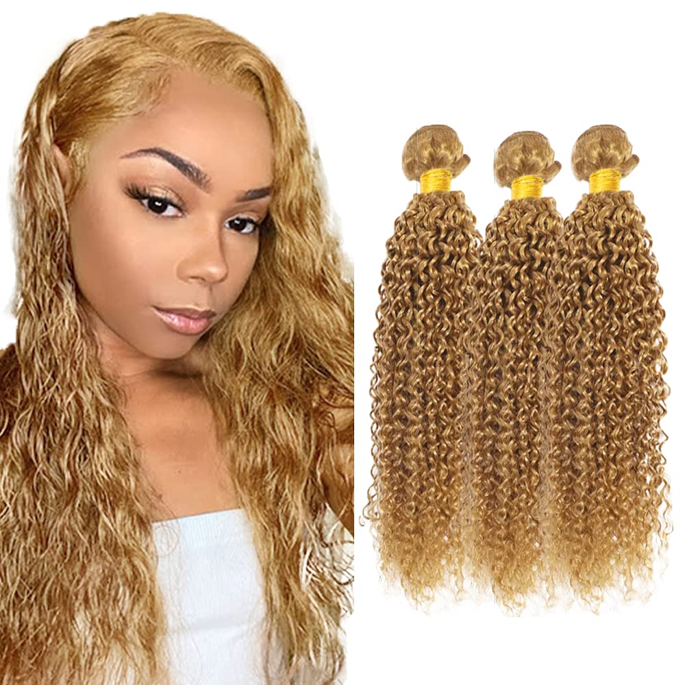 Honey Blonde Human Hair Bundles #27 Kinky Curly Bundles 18 20 22 inch Blonde Wet and Wavy Bundle Double Weft 300g