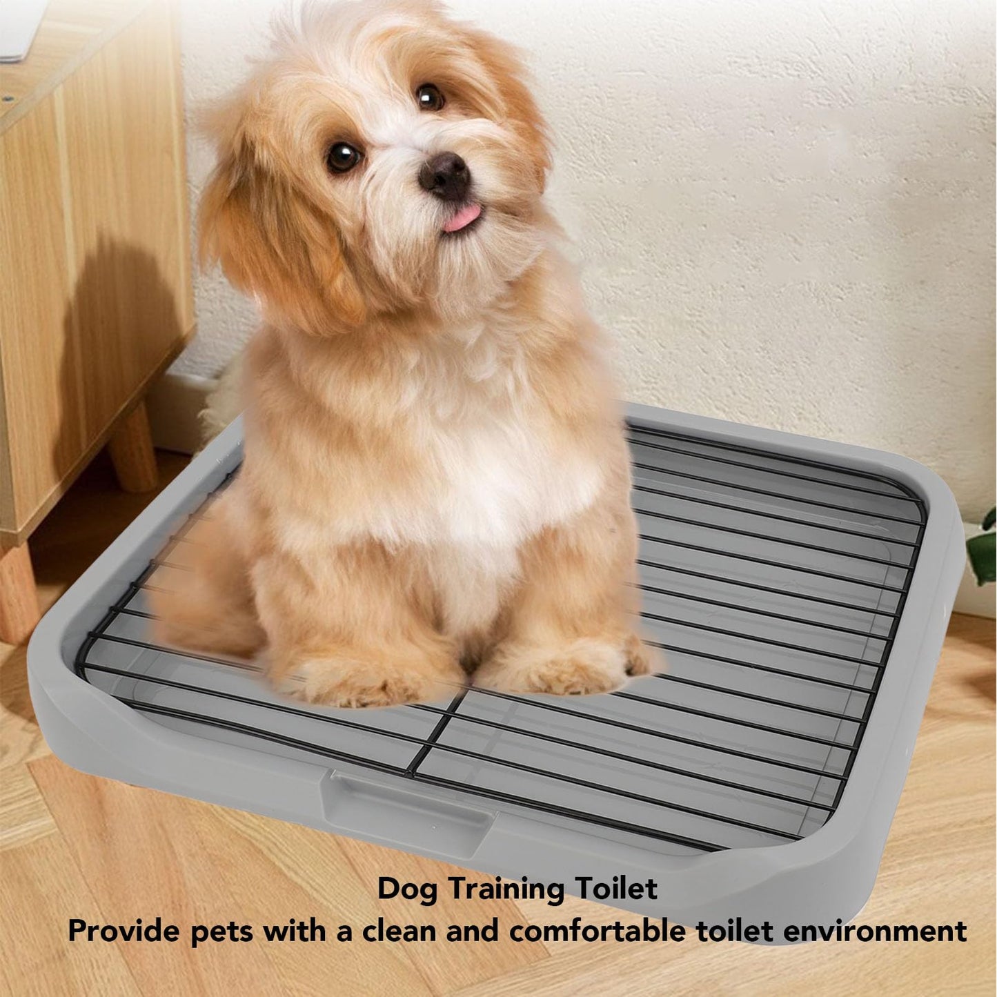 Dog Potty Tray, Indoor Mesh Dog Litter Box, Toilet Pee Pad Holder Puppy Training Tray, Removable Stable Structure Pet Training Pads for Small and Medium Dogs