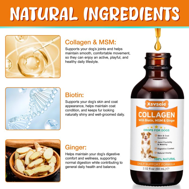 Collagen for Dogs – Joints, Skin & Coat Health Support Liquid Collagen Drops for Dogs, Itchy Relief & Digestive Care, Dog Supplements with Biotin, MSM & Ginger, 60ml Daily Wellness Formula