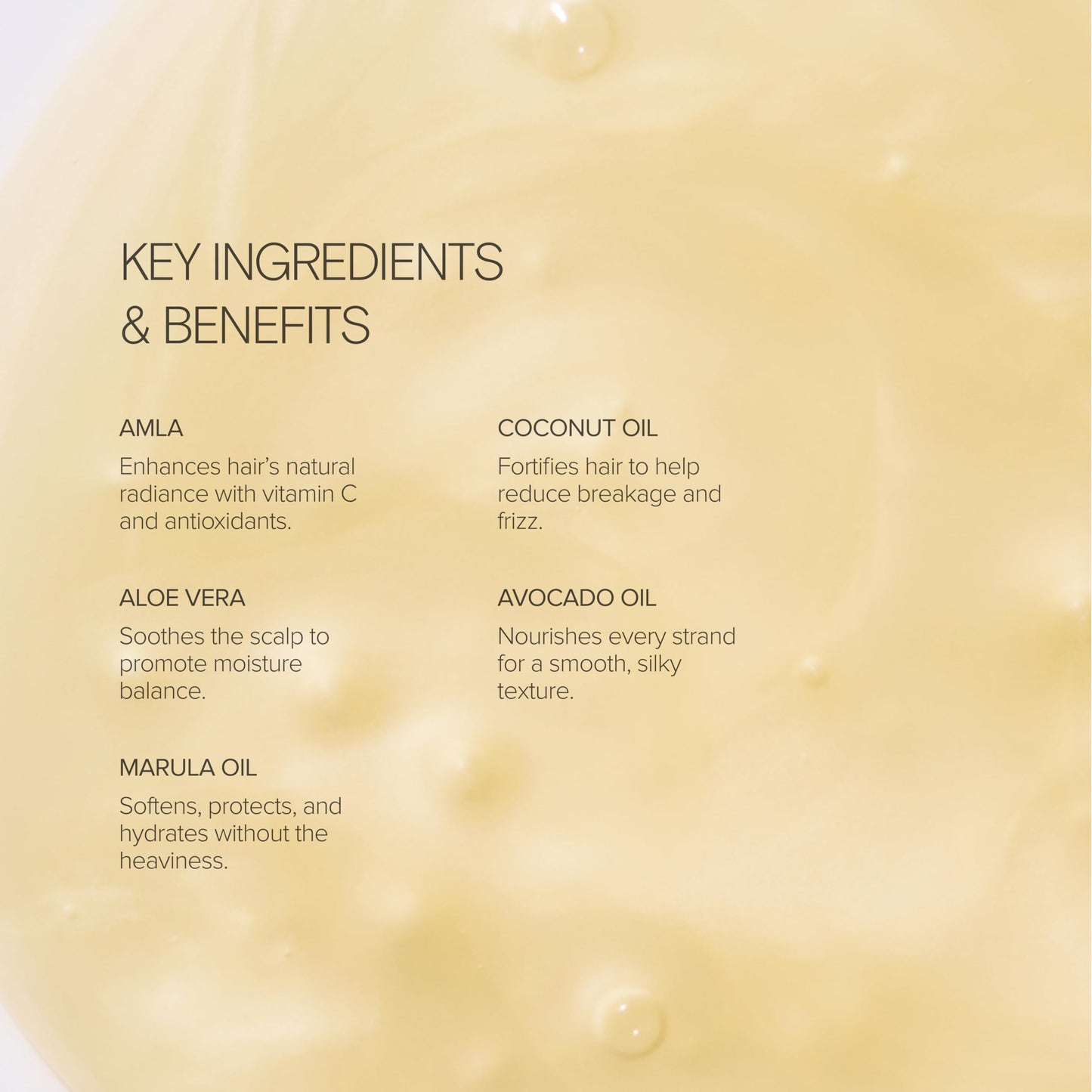 Alo Shine Shampoo | Smooths, Fights Frizz & Adds Bounce for All Hair Types | Sulfate Free & Made with Botanical Oils for Weightless Hydration | Grapefruit Scent | 10 fl. Oz