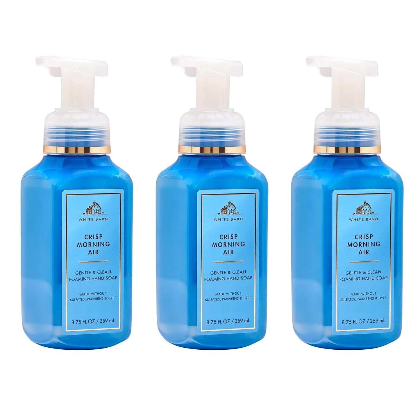 Crisp Morning Air Foaming Hand Soap - Germ-Cleansing Formula | Gentle Cleansing & Conditioning - 3-Pack