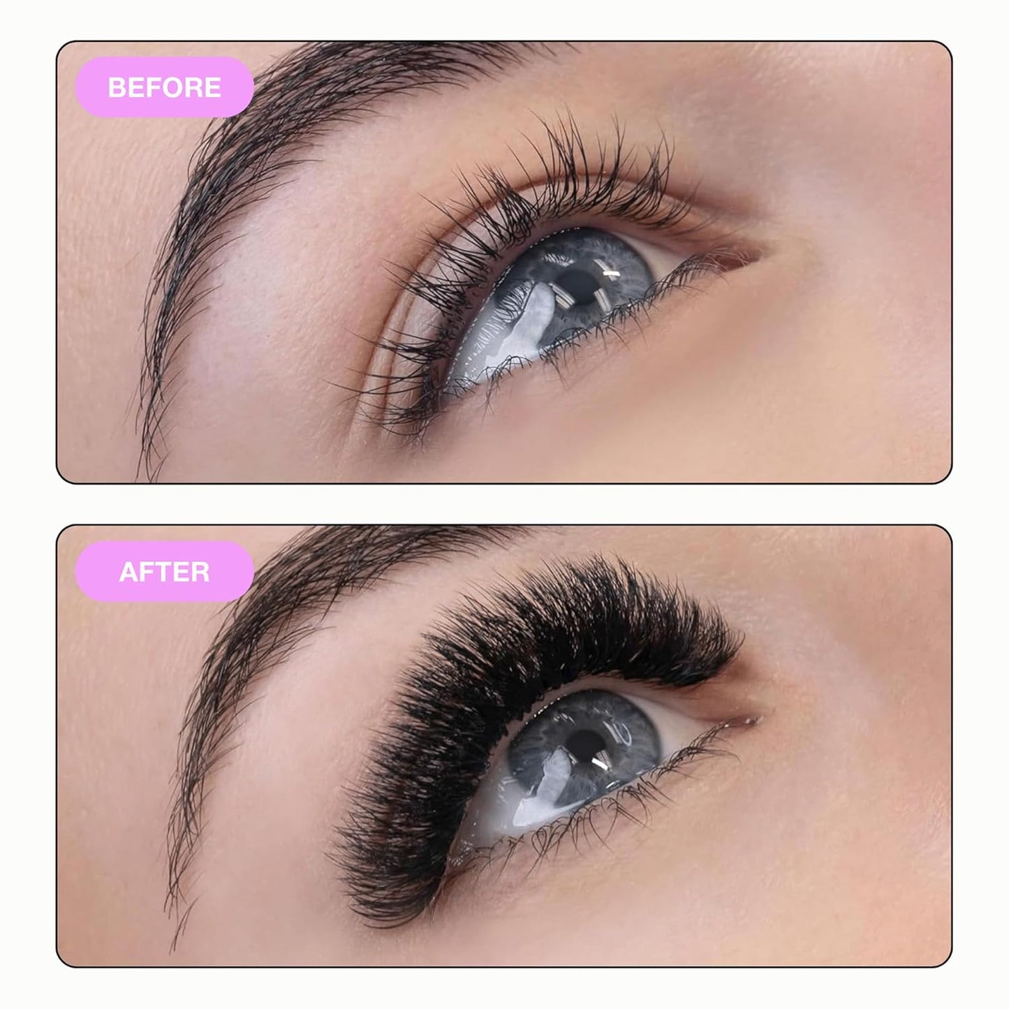 Promade 500 Fans 6D Eyelash Extensions - 0.05 CC Curl, 14mm Length, Handmade Volume