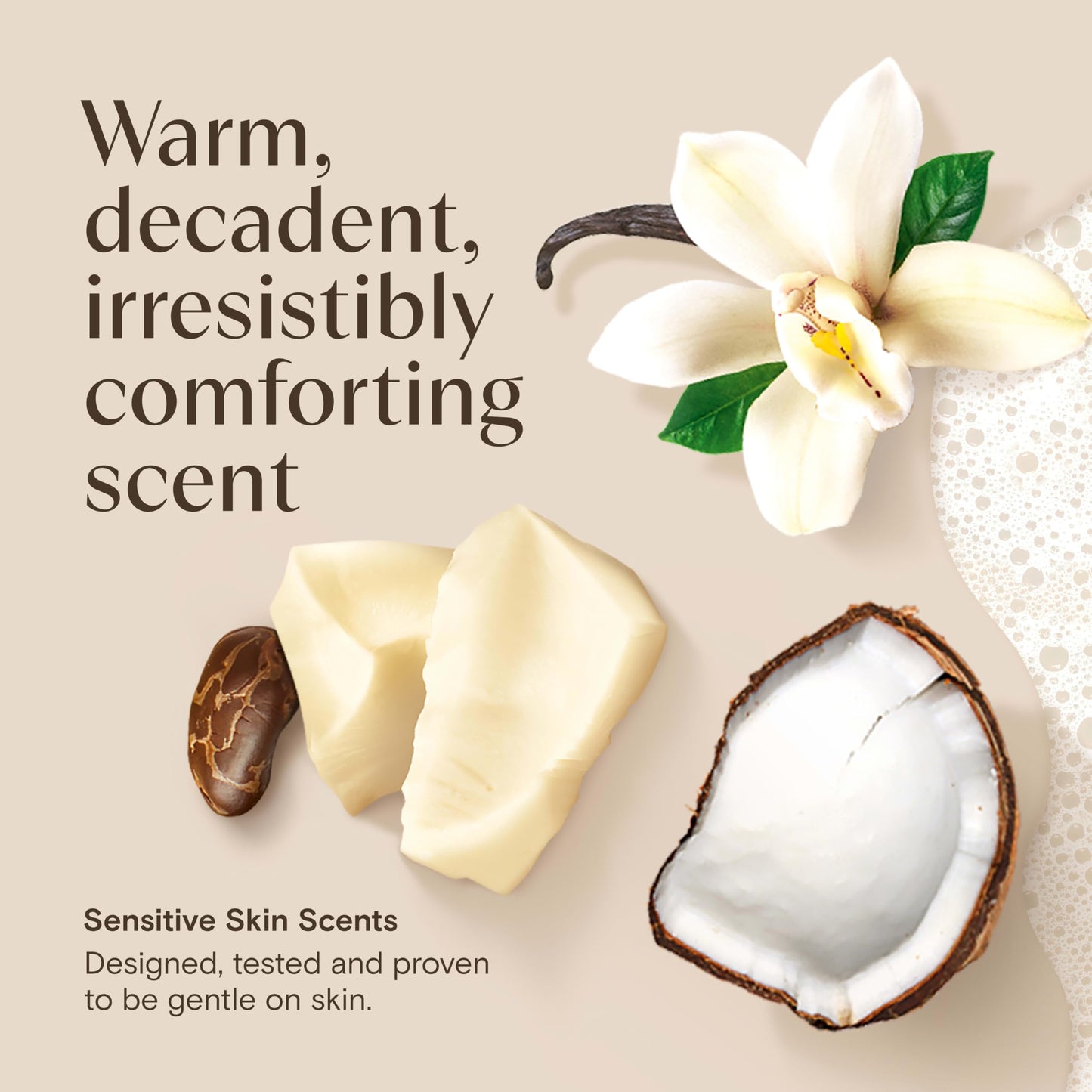 Aveeno Daily Moisturizing Body Wash with A Cocoa Butter Vanilla Scent & Soothing Prebiotic Oat, Provides Long-Lasting Hydration for Sensitive Skin, Hypoallergenic, Paraben-Free, 18 fl. oz