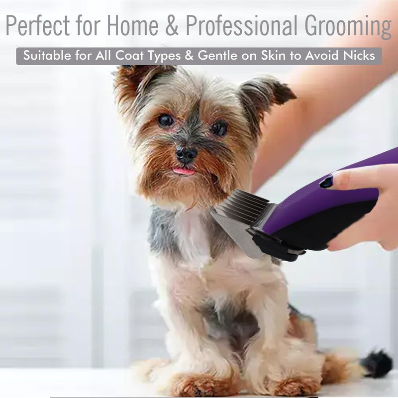 Professional A5-Style Animal Clipper Stainless Steel Color-Coded Snap-on Attachment Guard Guide Comb, 1/8"-1" Compatible with Wahl KM Series Oster A5 Andis Detachable Blade Pet Dog Groomers (#8-1")