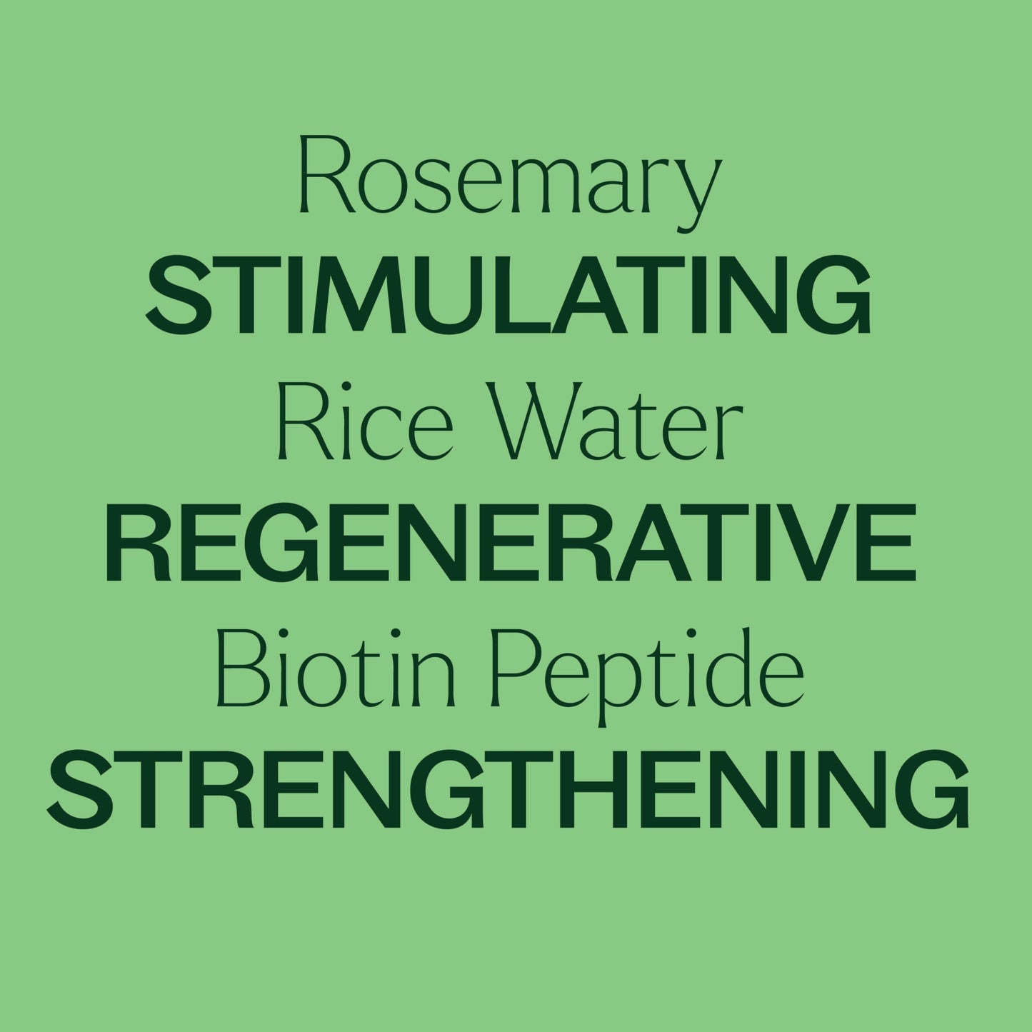 Plant Therapy Rosemary & Rice Water Spray 4 oz Daily Hair Growth Spray, Maximizes Natural Hair Growth, Boosts Strength & Elasticity, Adds Volume & Shine