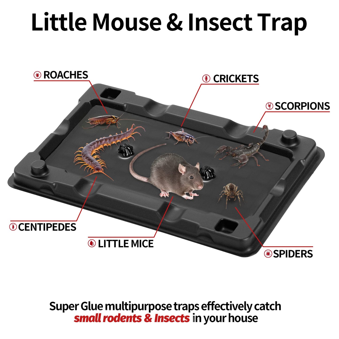LULUCATCH Mouse & Insect Traps 12 Pack, Heavier Sticky Traps with Non-Toxic Glue for Small Mice & Insects. Sticky Mouse Traps Indoor for Home, Easy to Set