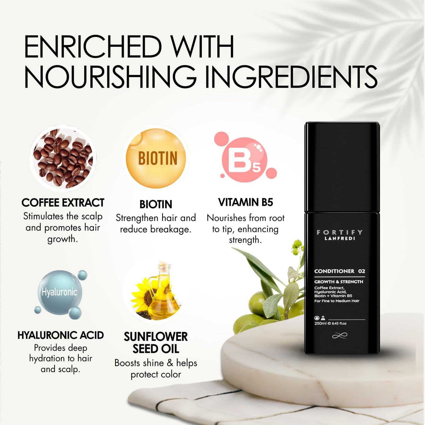 Lanfredi Fortify Conditioner for Fine to Medium Hair, Growth & Shine Support, Caffeine Infused, Strengthening, Smoothing, Moisturizing Conditioner, 250ml