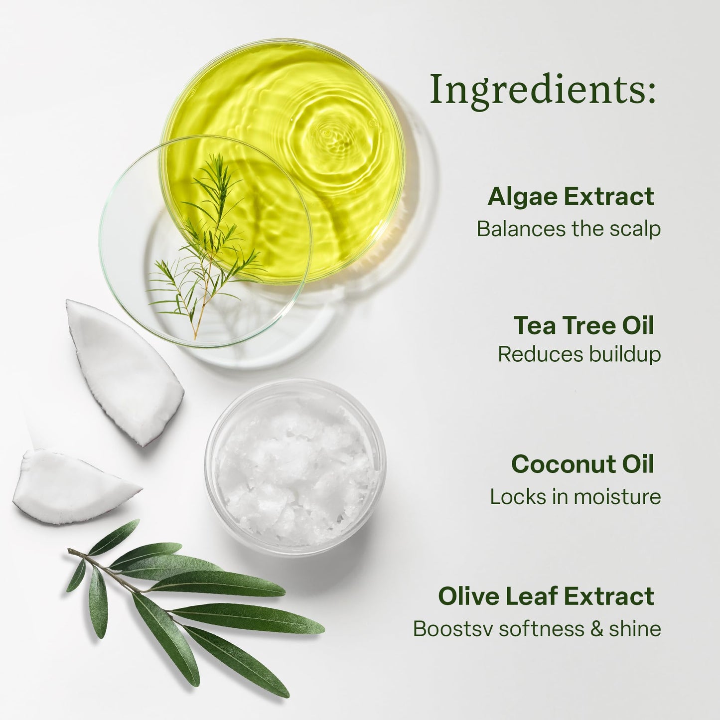 divi Hydrating Conditioner | Medium to Thick Hair | Coconut Oil | 12 fl oz