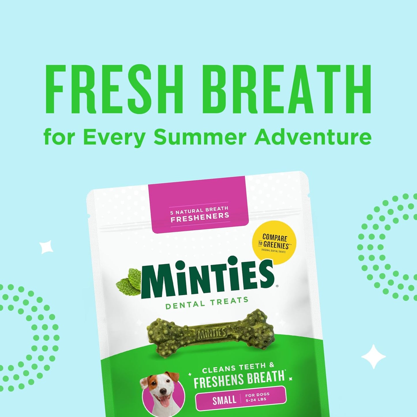 Dog Dental Bone Treats - Minties for Fresh Breath & Clean Teeth | Tiny/Small, 16 Ounces, 40 Count