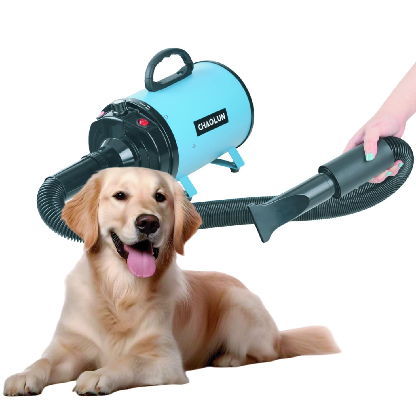 CHAOLUN Dog Dryer for Pet Grooming, Pet Hair Dryer with Heater, Blue