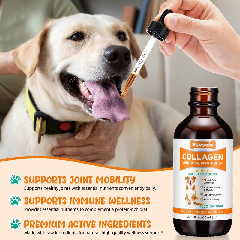 Collagen for Dogs – Joints, Skin & Coat Health Support Liquid Collagen Drops for Dogs, Itchy Relief & Digestive Care, Dog Supplements with Biotin, MSM & Ginger, 60ml Daily Wellness Formula