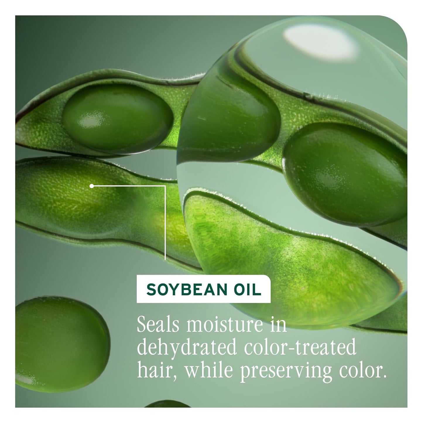 Biolage Color Last Conditioner - Vegan Formula for Color-Treated Hair | Hydrates, Repairs & Adds Shine