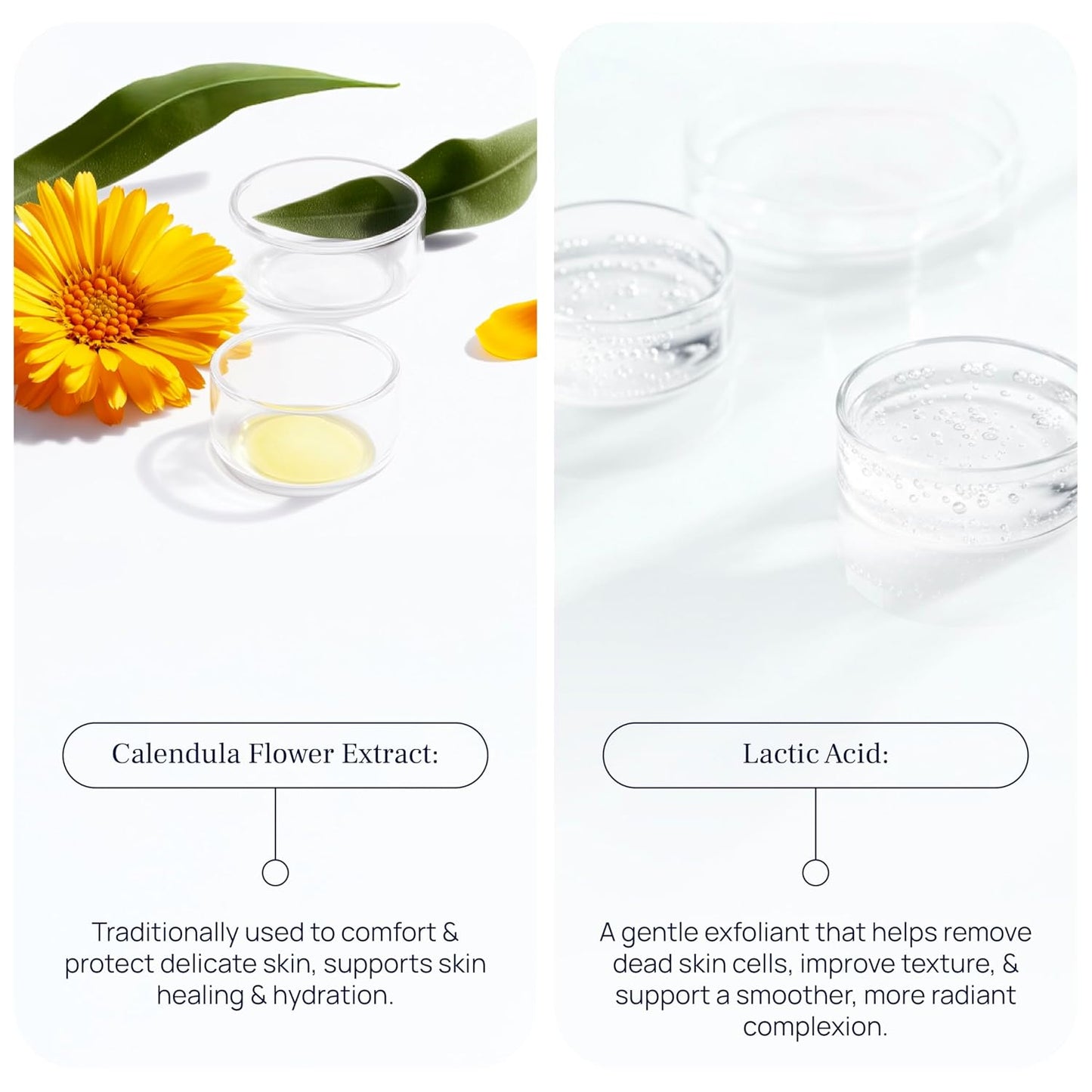 Cleansing Foam - Gentle Face Wash for Sensitive Skin | Calendula, Chamomile & Lactic Acid - 5.07 Fl Oz