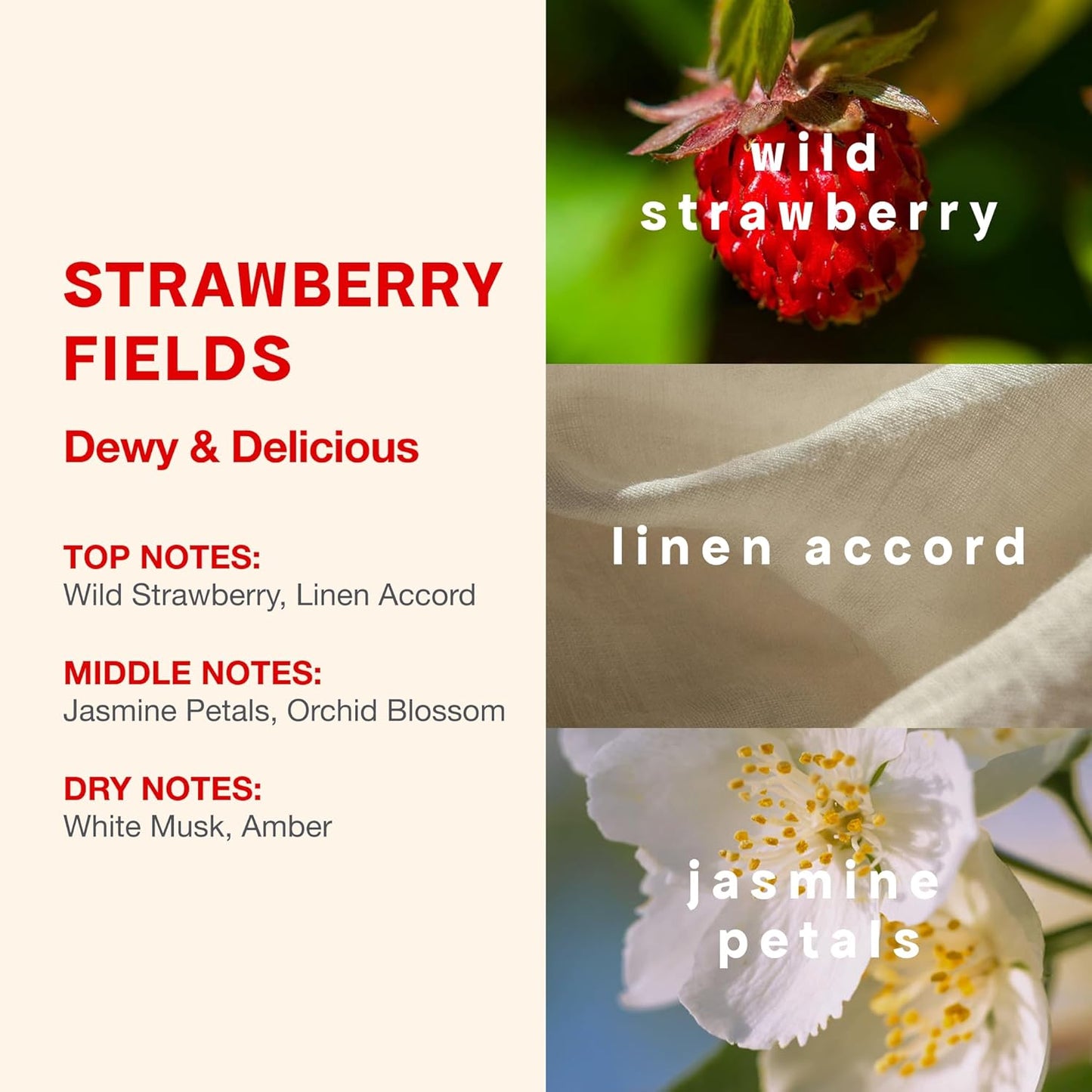 Fresh Laundry Perfume Duo - Full & Travel Size | Juicy Berry Notes & Warm Cotton Scent, Perfect Gift Set