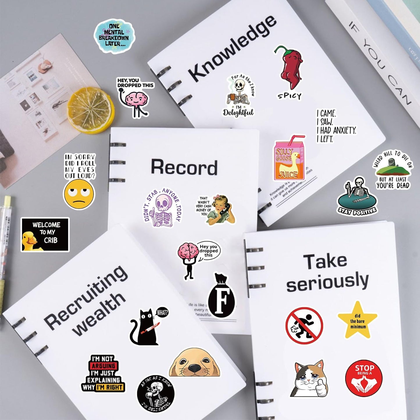 400 PCS Funny Stickers for Adults, Hilarious Meme Stickers Pack for Water Bottles, Laptops, Scrapbook, Hard Hats – Waterproof Vinyl Adult Humor Sticker