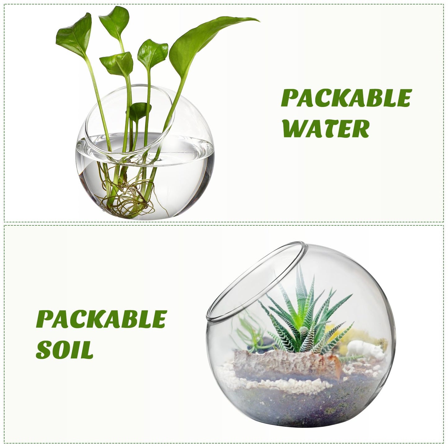 Healeved 3PCS Glass Terrariums for Plants Glass Fish Bowls Plant Terrarium Air Plant Planter Desktop Bubble Bowls Clear Vases Air Plants Holders Succulent Terrarium