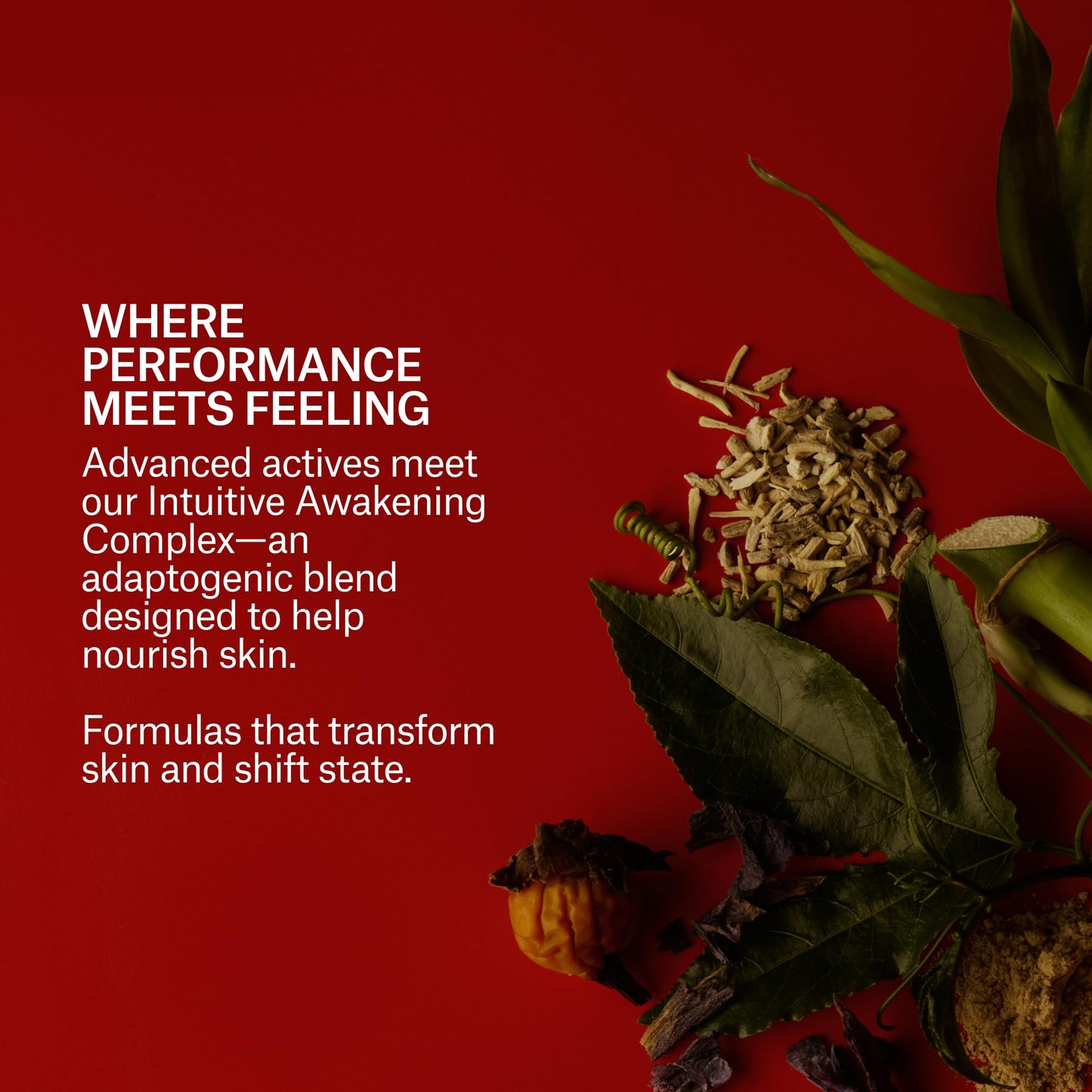 mienne - Hand Creme | Velvety, Floral, Delicate | Soften, Smooth, Refine Skin | Ginger, Passion Flower, Ylang Ylang (Fleurir; 2 fl oz | 60 ml)