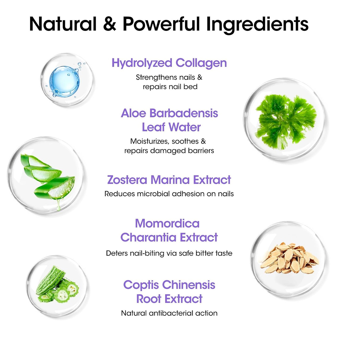 Gellen Nail Biting Treatment - 15ml Bitter Taste Solution for Kids & Adults | Stop Nail Biting & Thumb Sucking