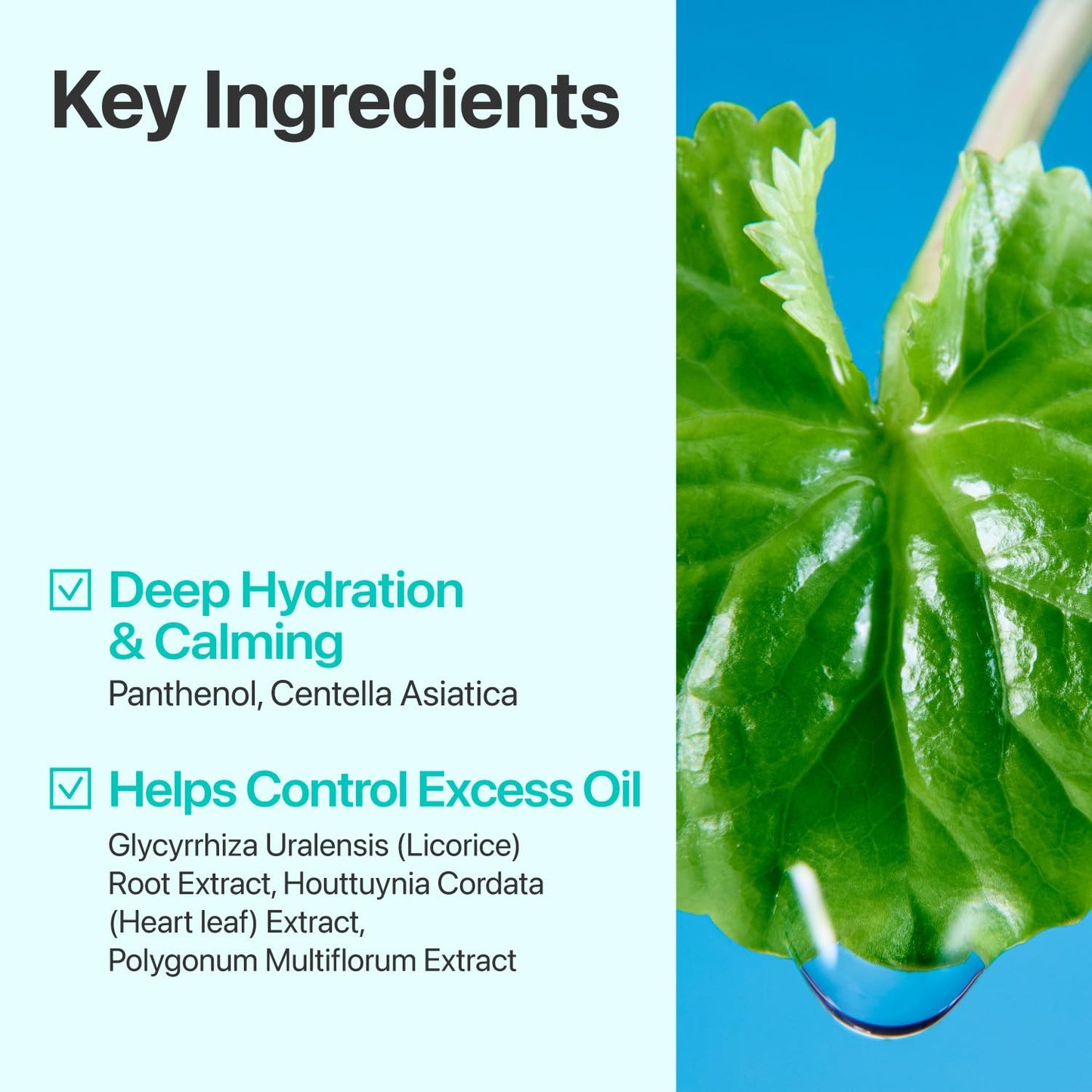 Numbuzin No.1 Toner - Calming Herb Formula for Breakouts & Redness | Centella Asiatica, Licorice Root | 10.14 fl. oz.