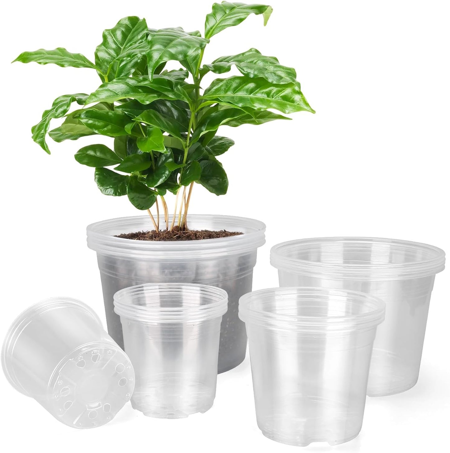 Large Clear Nursery Pots - 10/8/6/5 Inch with Drainage Holes | 16 Pack Plastic Plant Pots for Succulents & Seedlings