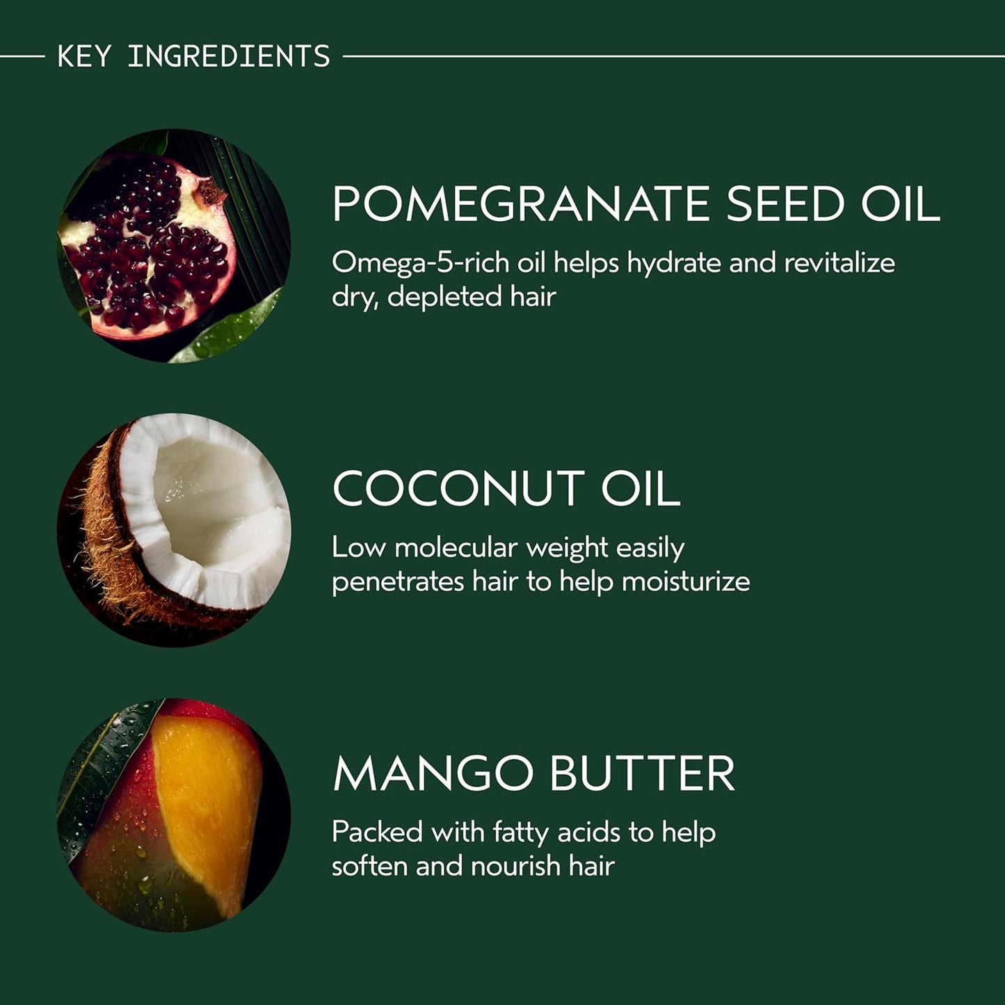 Aveda Nutriplenish Conditioner - Light Moisture Hydrating Formula for Fine to Medium Dry Hair | Organic Pomegranate Oil, Coconut Oil, Mango Butter