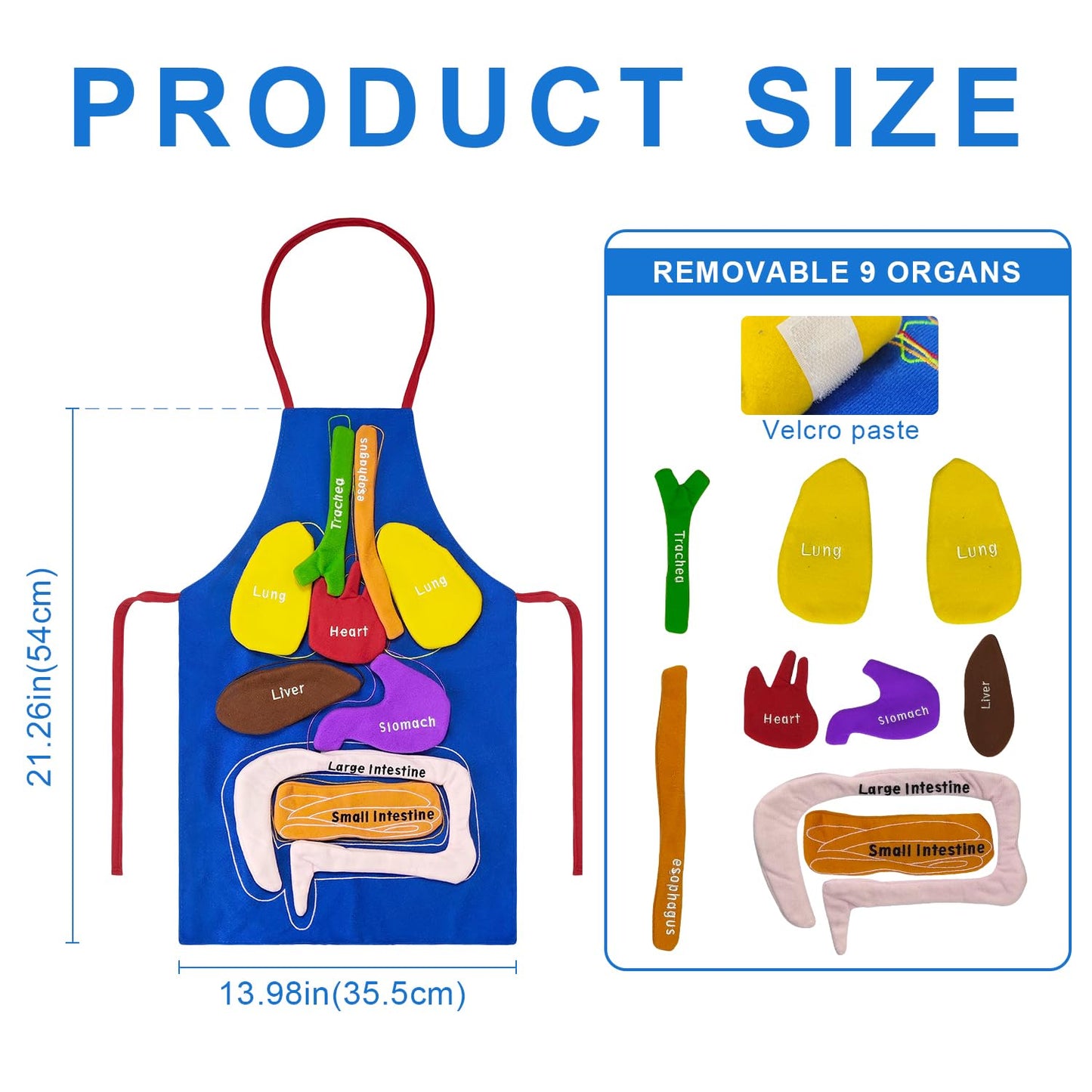 BOHEMIABY 3D Organs Apron, Anatomy for Kids Apron Body Parts Organs Educational Toys, Soft Disassembled Internal Organs Plush Model for Home Preschool Teaching Aid Boy Gir