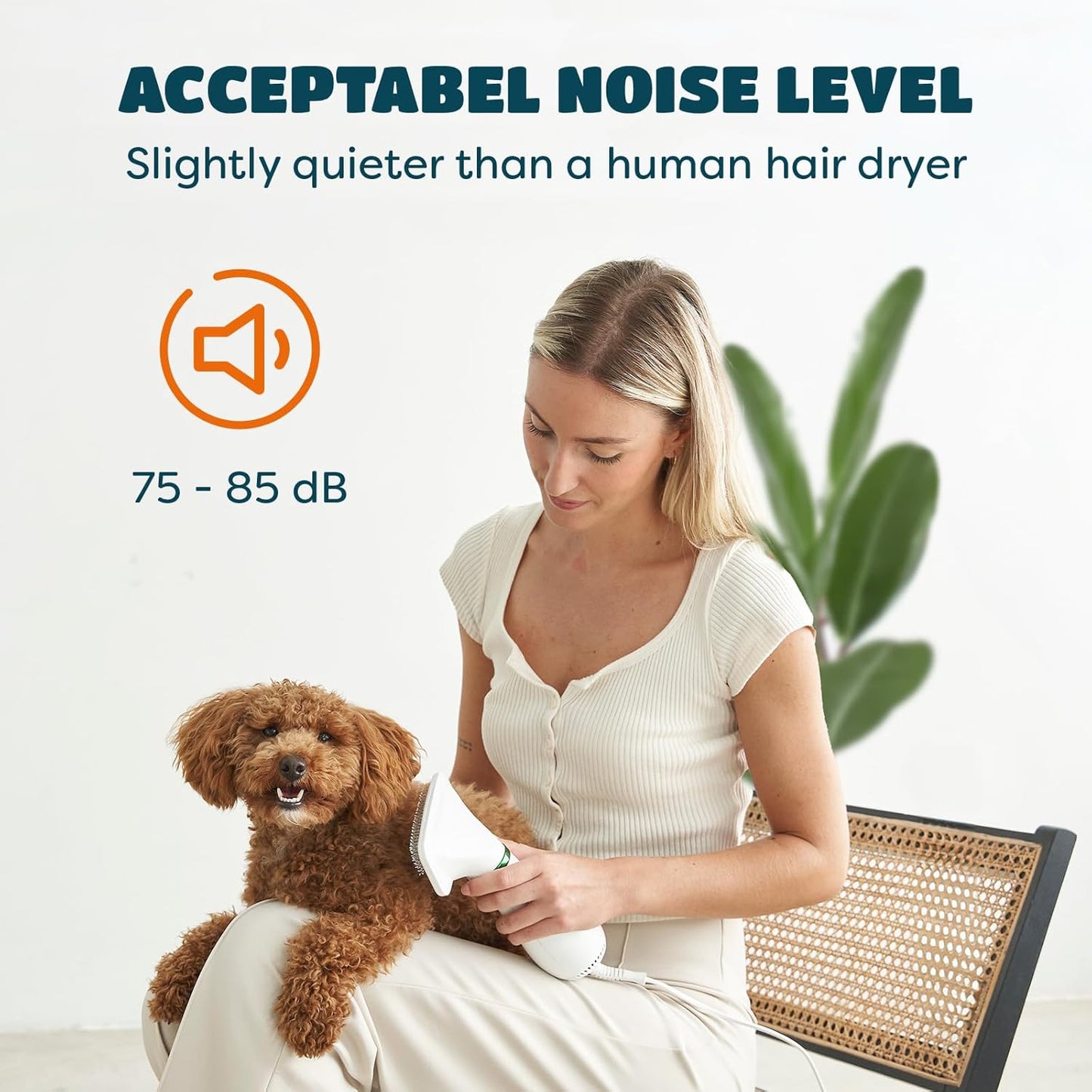 2-in-1 Dog Dryer & Slicker Brush | Pet Hair Dryer for Small Dogs & Cats, 300 Watts, Adjustable Temperature, Overheat Protection