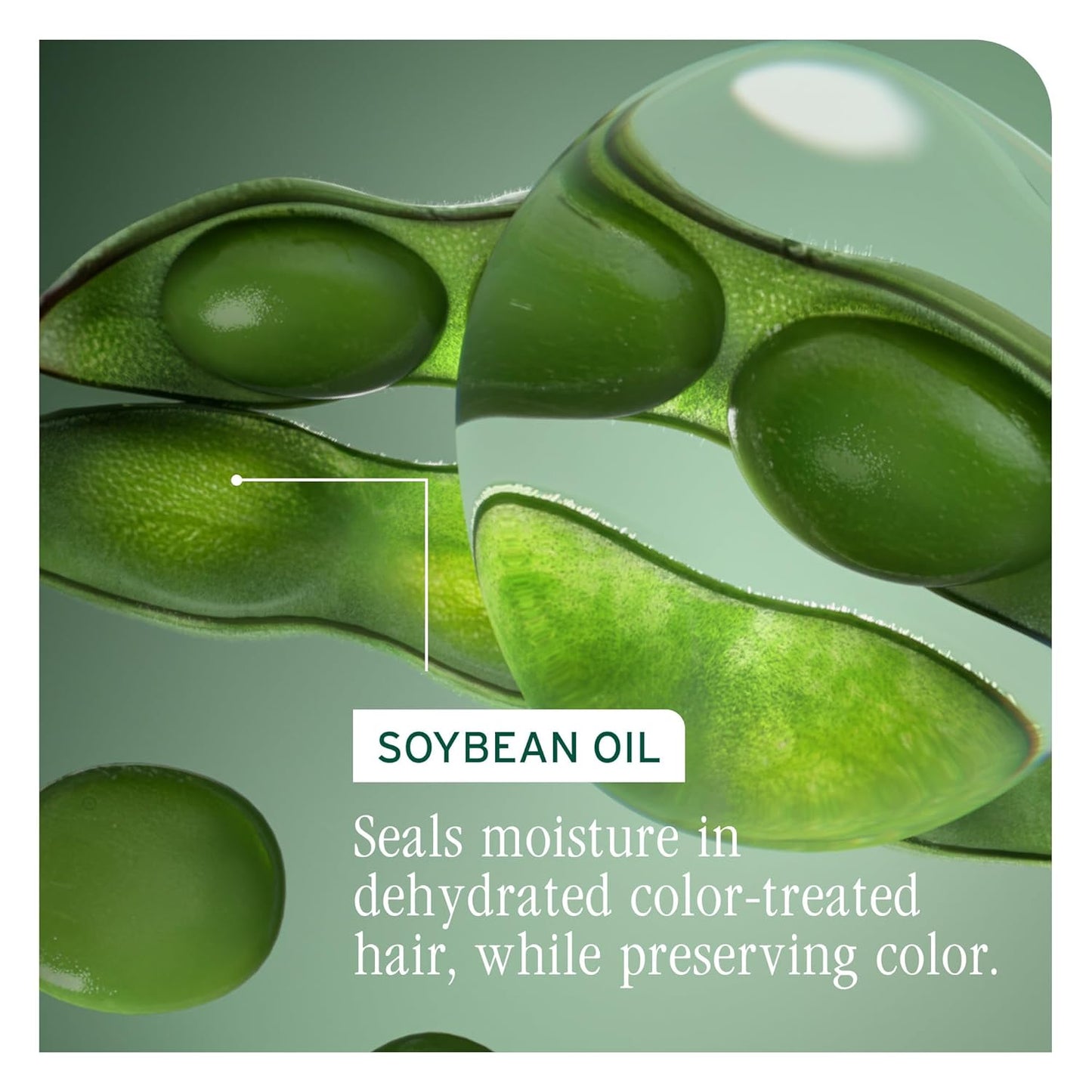 Biolage Color Last Shampoo - Nourishing Formula for Color-Treated Hair | Paraben-Free, Vegan, Hydrating